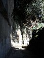 DSCN0563