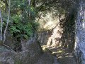 DSCN0579
