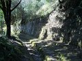 DSCN0580
