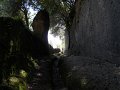 DSCN0590