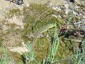 DSCN0658