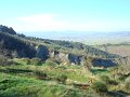 DSC01774