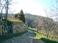 DSC01779