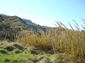 DSC01813