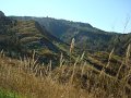 DSC01814