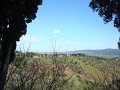 DSC01817