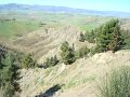 DSC01834