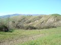 DSC01854
