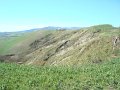 DSC01856
