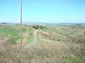 DSC01868