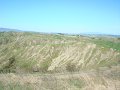 DSC01870