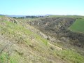 DSC01875