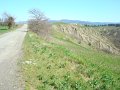 DSC01881