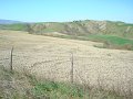 DSC01895