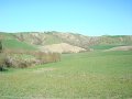 DSC01914