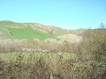 DSC01919