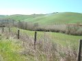 DSC01920