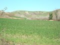 DSC01928