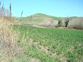 DSC01932