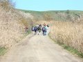 DSC01933