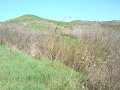 DSC01934