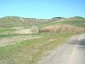 DSC01937