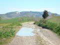 DSC01943