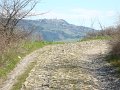 DSC01946