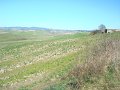 DSC01971