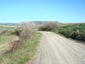 DSC01979