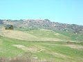 DSC01989