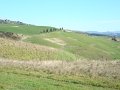 DSC01991