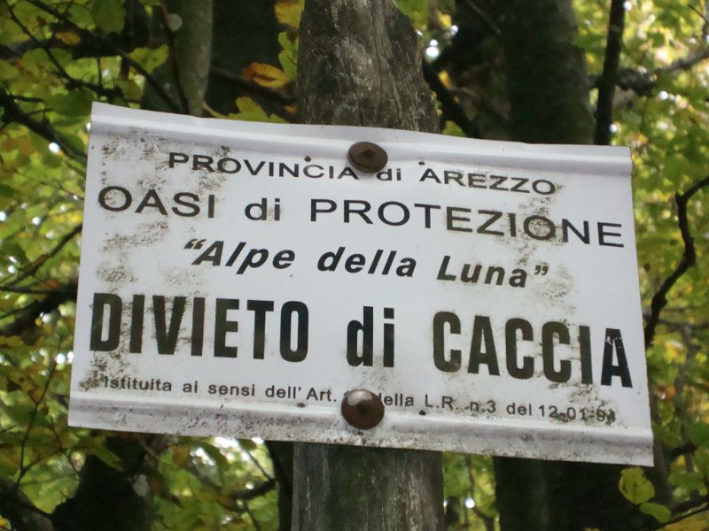 DSC09887.JPG