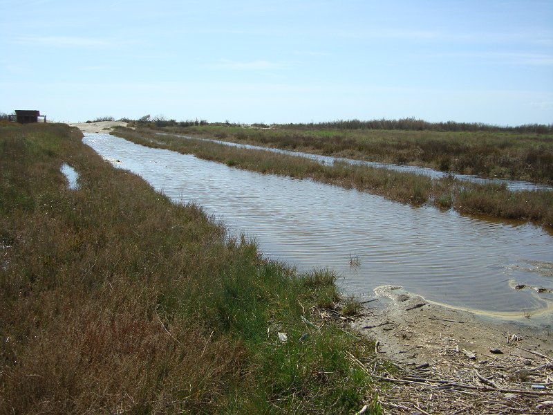 DSC06107.JPG