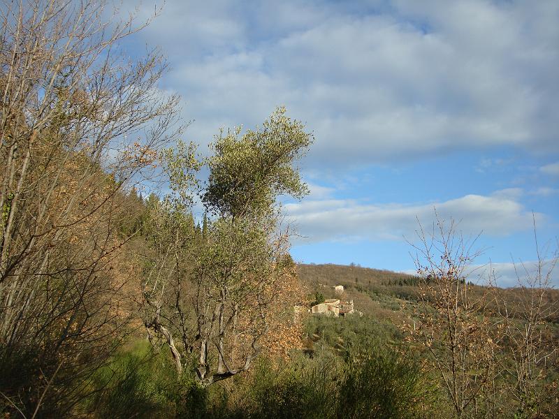 DSC07593.JPG