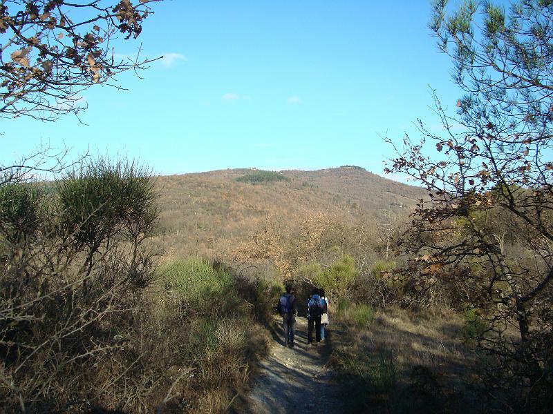 DSC07624.JPG