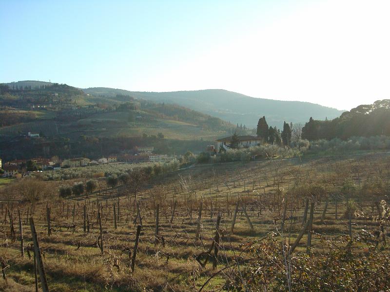 DSC07672.JPG