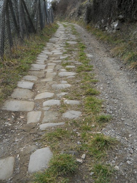 DSCN1008.JPG