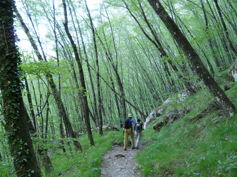 DSCN0875.JPG