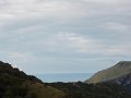 DSCN8331