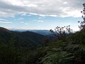 DSCN8347