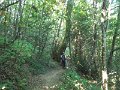 DSCN8443