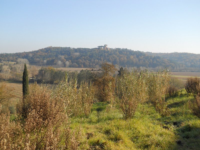 DSCN0341.JPG