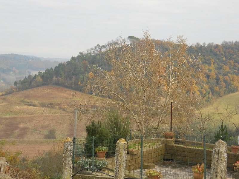 DSCN0407.JPG