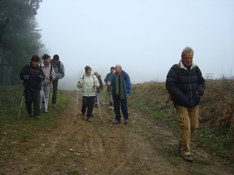 DSC00782.JPG