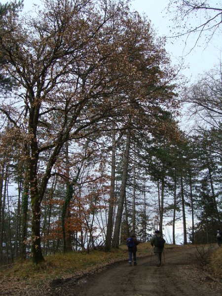 DSC00854.JPG