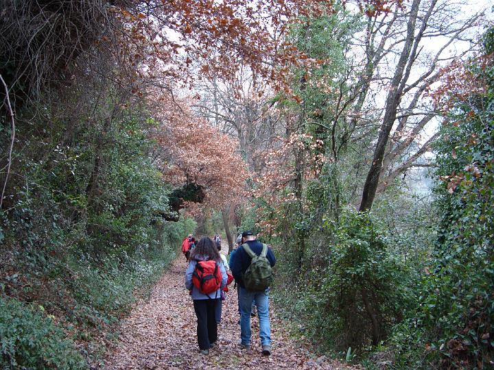 DSC01092.JPG