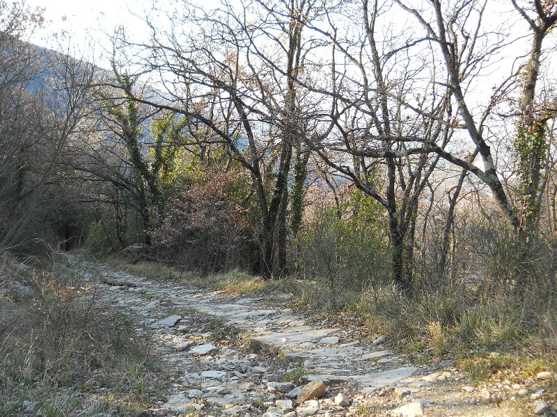 DSCN5137.JPG