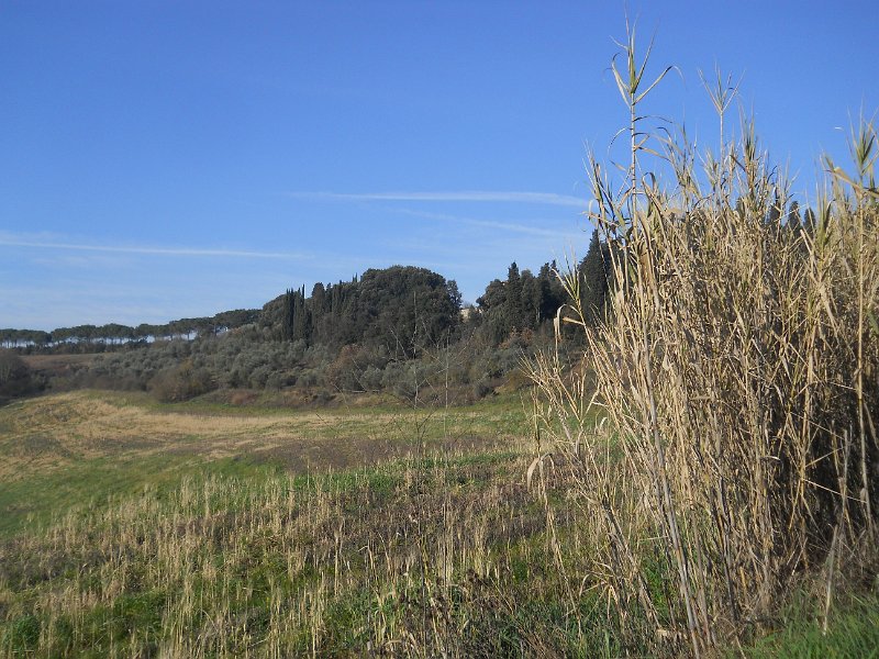 DSCN4960.JPG