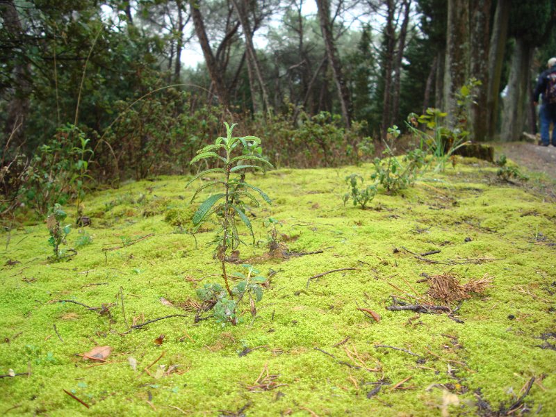 DSC01447.JPG